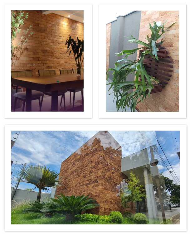 Olaria Sete Lagoas - Coleção Minas e suas Terras